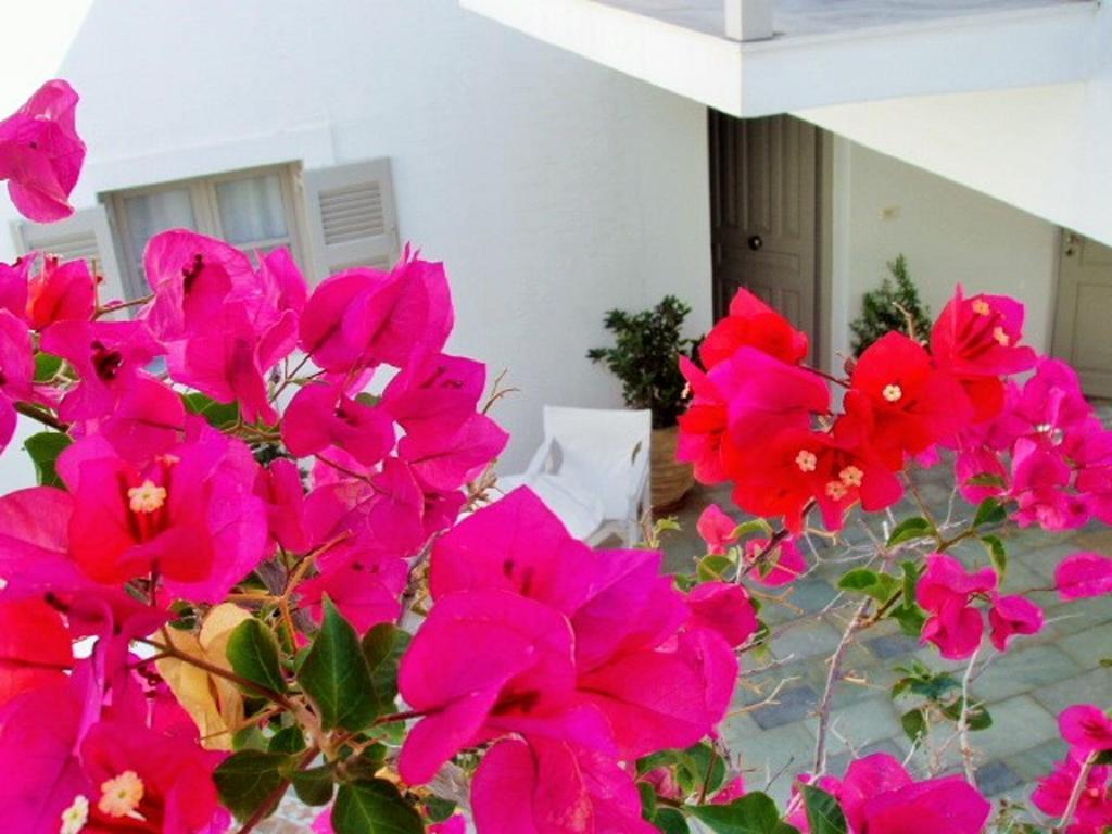 Despina'S Mare Aparthotel Naousa  Exterior photo